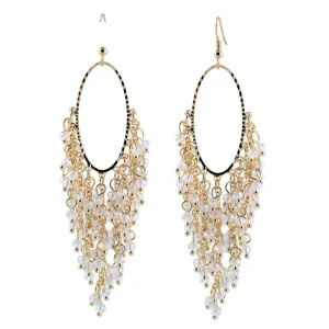 Statement Drop Crystals Handwork Dangle Drop Long Earrings